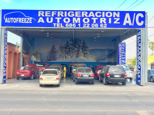 Auto Freeze Refrigeración Automotriz