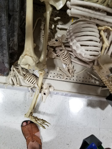 Home Improvement Store «Menards», reviews and photos, 19521 Evans St NW, Elk River, MN 55330, USA