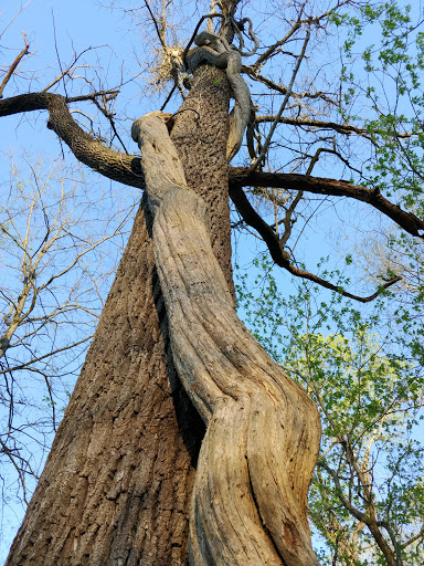 Park «East Cobb Park», reviews and photos, 3322 Roswell Rd, Marietta, GA 30068, USA