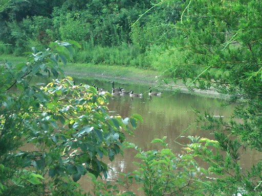 National Park «Fort Hunt Park», reviews and photos, 8999 Fort Hunt Rd, Alexandria, VA 22308, USA