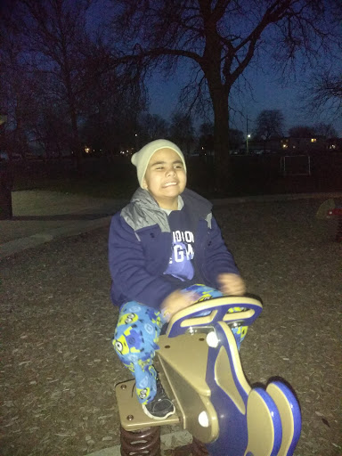 Park «Ehlert Park», reviews and photos, Congress Park Ave, Brookfield, IL 60513, USA