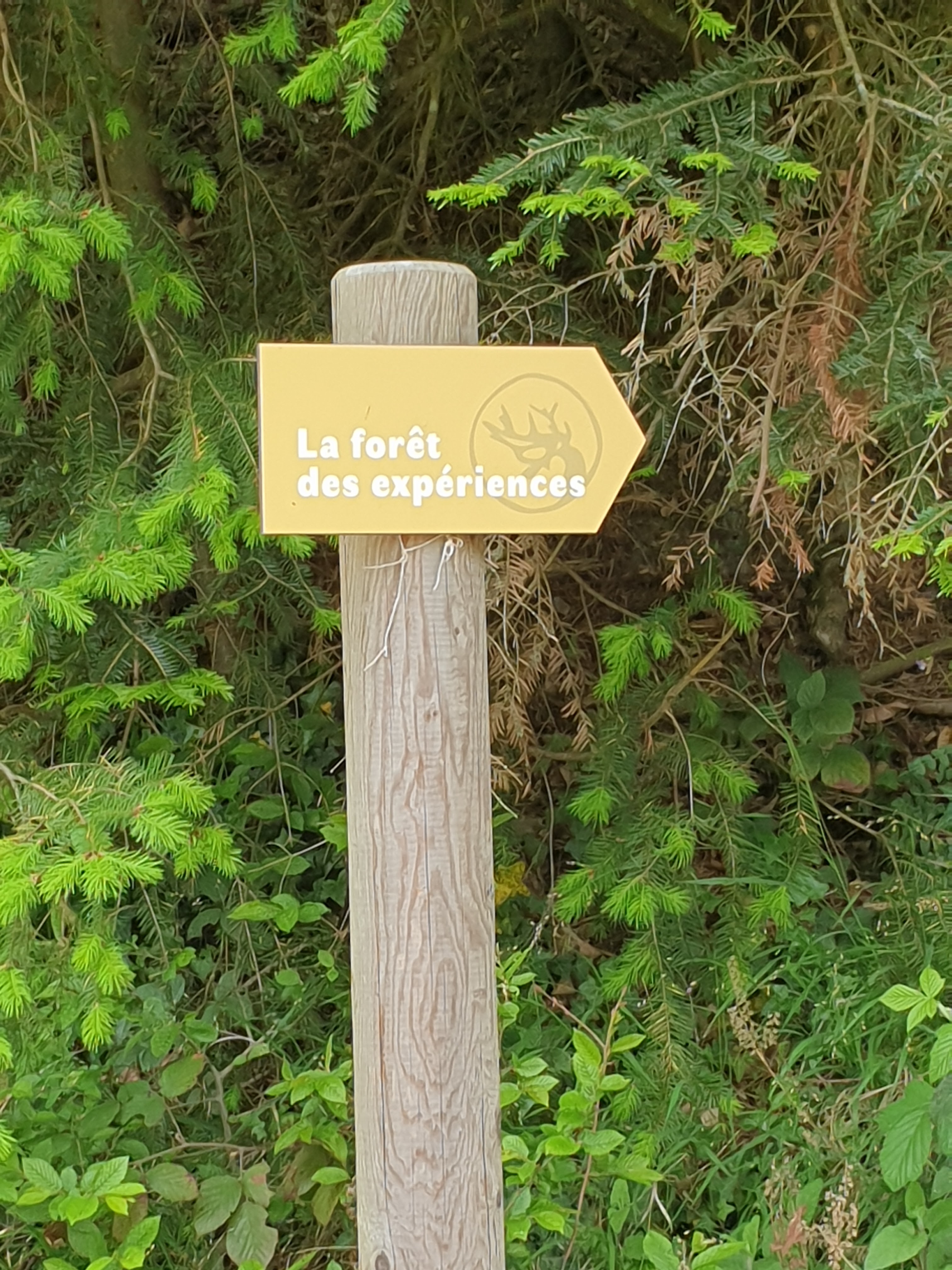 Photo n° 5 de l'avis de Stéphanie.P fait le 18/05/2023 à 15:41