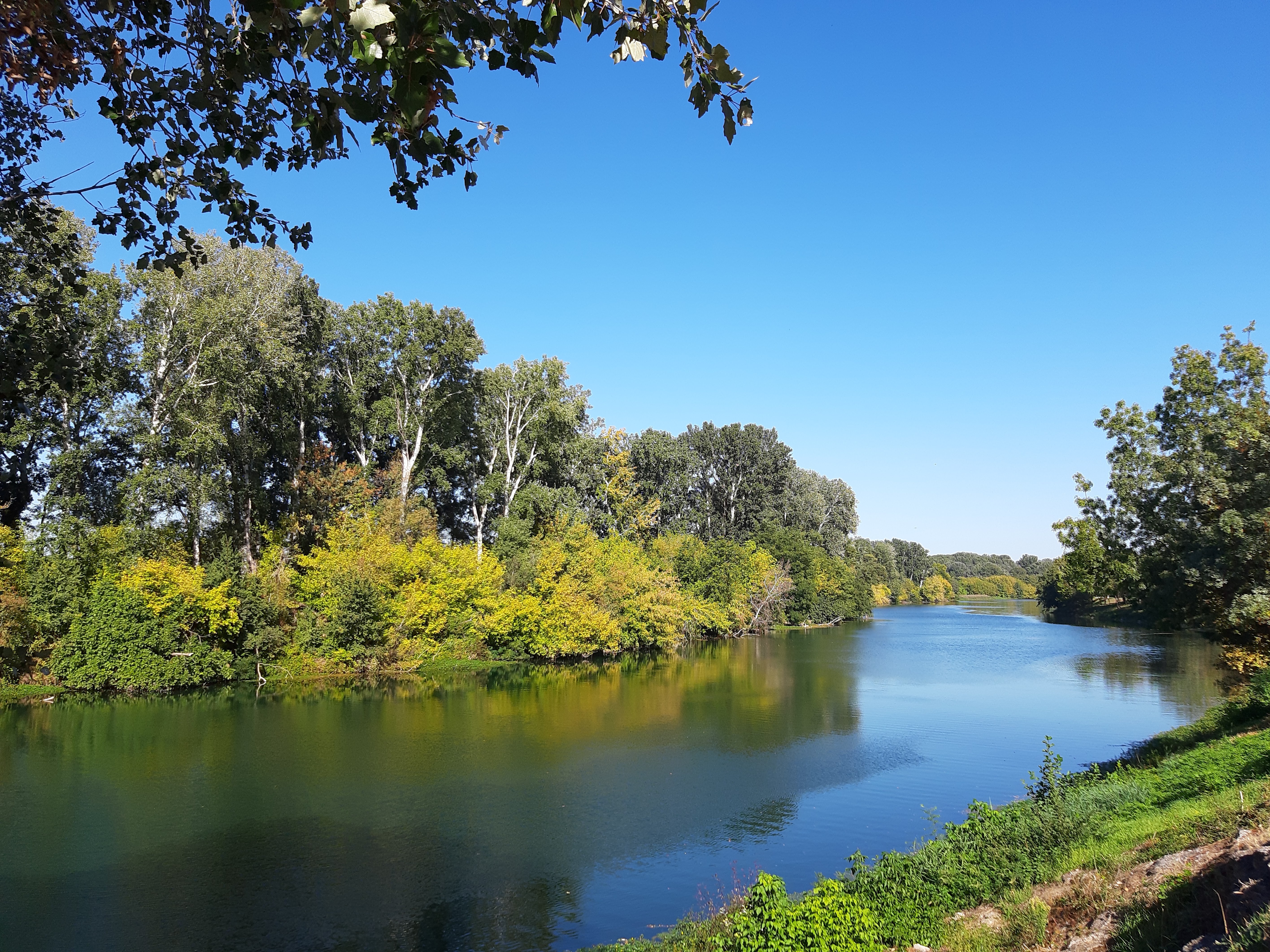Photo n° 2 de l'avis de Sabine.r fait le 10/10/2019 à 20:14