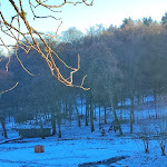 Photo n°1 de l'avis de Uli.r fait le 03/01/2023 à 05:47 sur le  Forsthaus Klaushof à Bad Kissingen