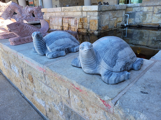 Asian Grocery Store «MT Supermarket», reviews and photos, 10901 N Lamar Blvd G, Austin, TX 78753, USA