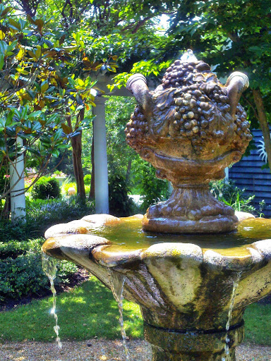 Farm «Blooming Hill Lavender Farm», reviews and photos, 19929 Telegraph Springs Rd, Purcellville, VA 20132, USA