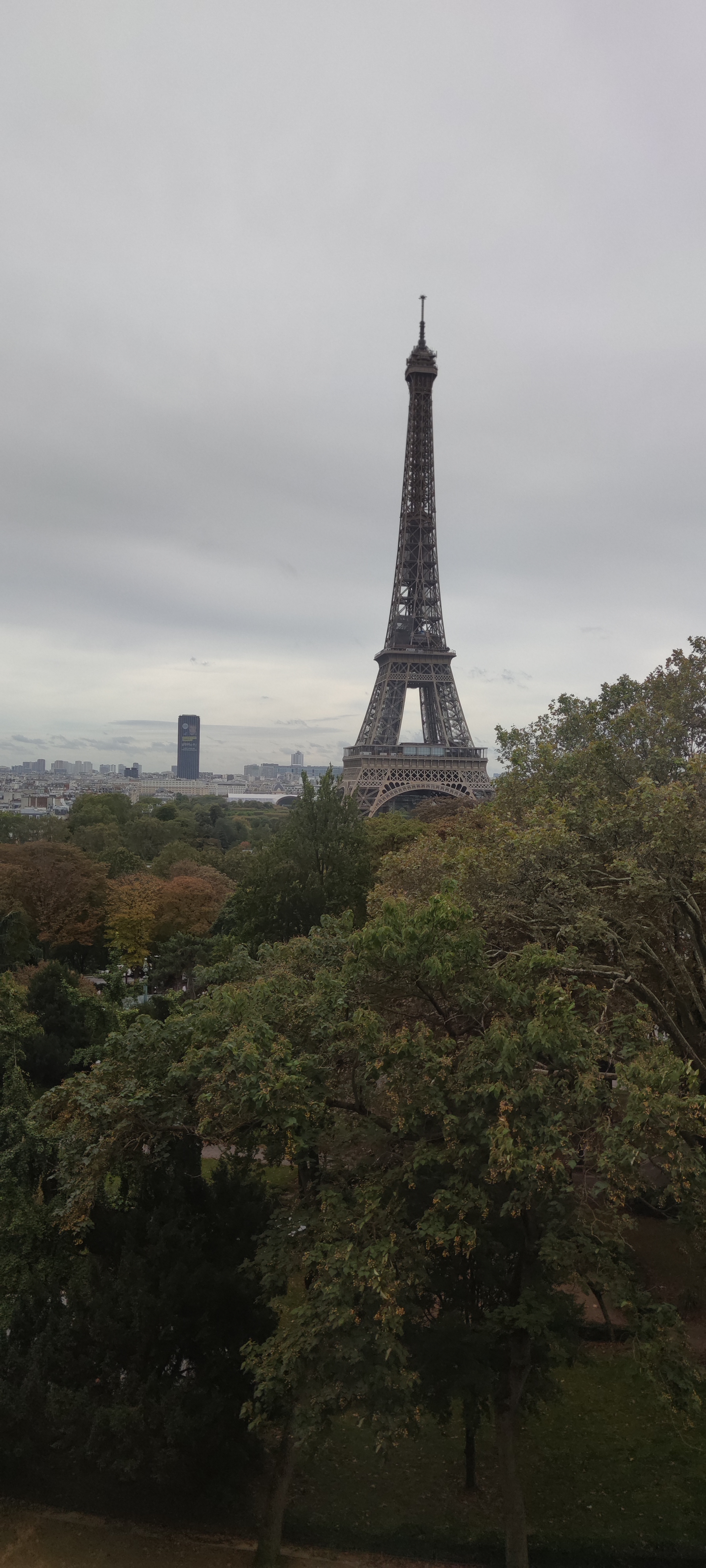 Photo n° 13 de l'avis de MARINE.E fait le 03/10/2021 à 06:12