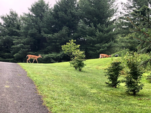 Public Golf Course «Pinecrest Golf Course», reviews and photos, 6600 Little River Turnpike, Alexandria, VA 22312, USA