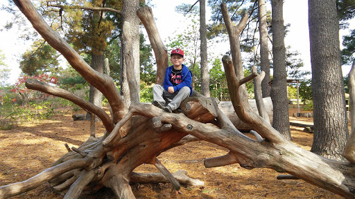 Nature Preserve «Shaw Nature Reserve», reviews and photos, 307 Pinetum Loop Rd, Gray Summit, MO 63039, USA