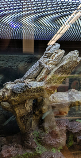 Pet Supply Store «Petco Animal Supplies», reviews and photos, 10055 Wellington Rd, Manassas, VA 20110, USA