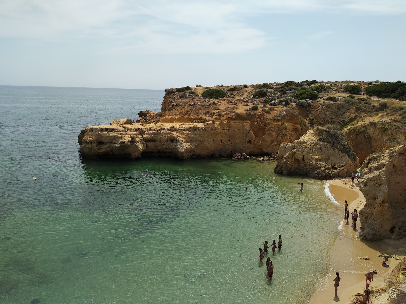 Foto de Praia da Vigia área selvagem