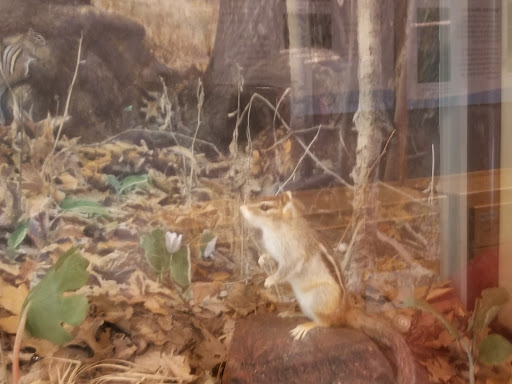 Nature Preserve «Lowry Nature Center», reviews and photos, 7025 Victoria Dr, Victoria, MN 55386, USA