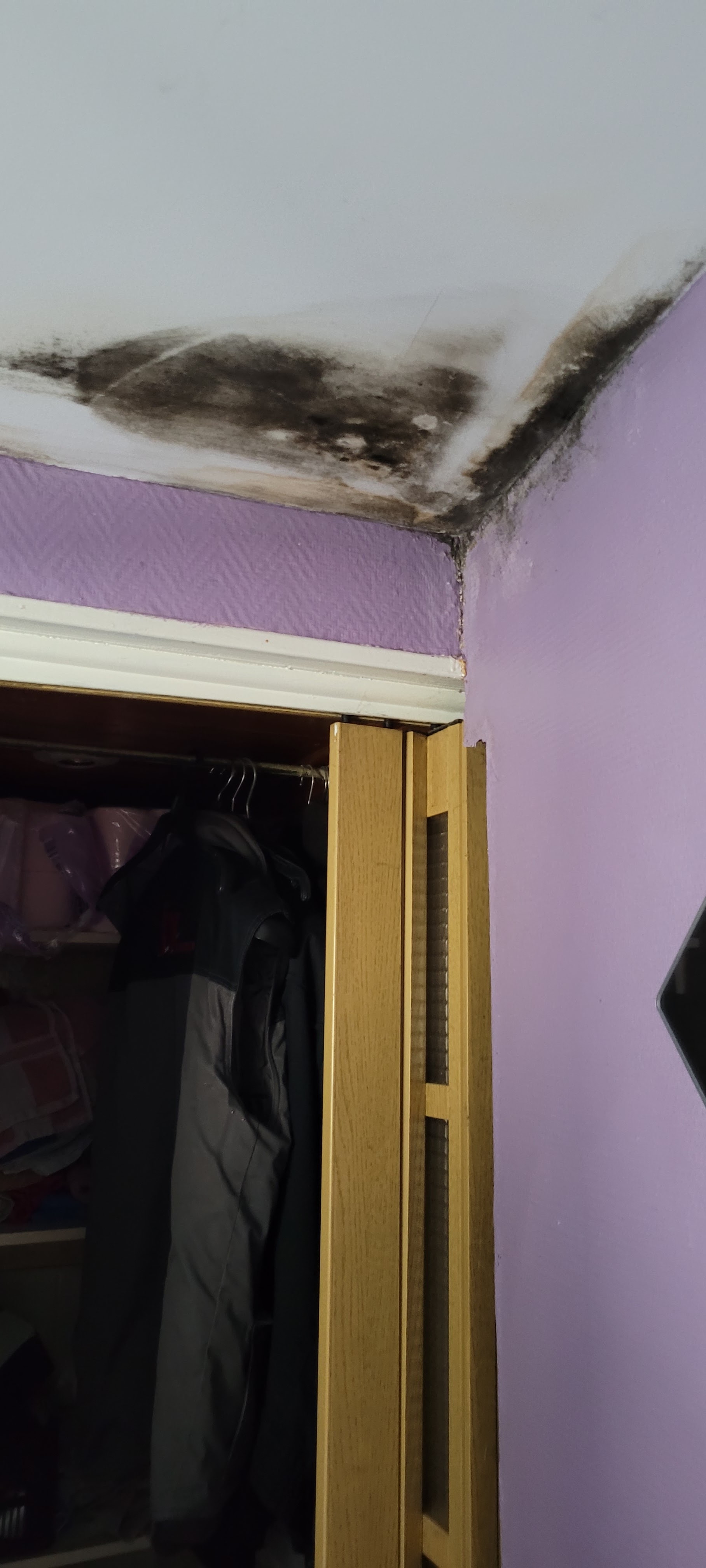 Photo n° 1 de l'avis de sebnane.o fait le 18/03/2024 à 15:45