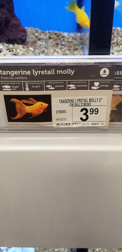 Pet Supply Store «Petco Animal Supplies», reviews and photos, 1507 Rockville Pike, Rockville, MD 20852, USA