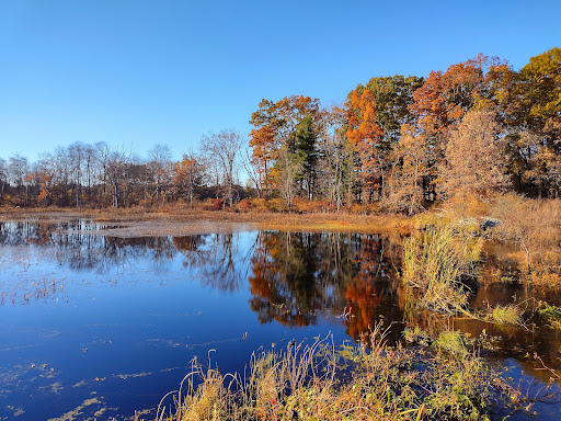 Wildlife Refuge «Great Meadows National Wildlife Refuge», reviews and photos, 73 Weir Hill Rd, Sudbury, MA 01776, USA