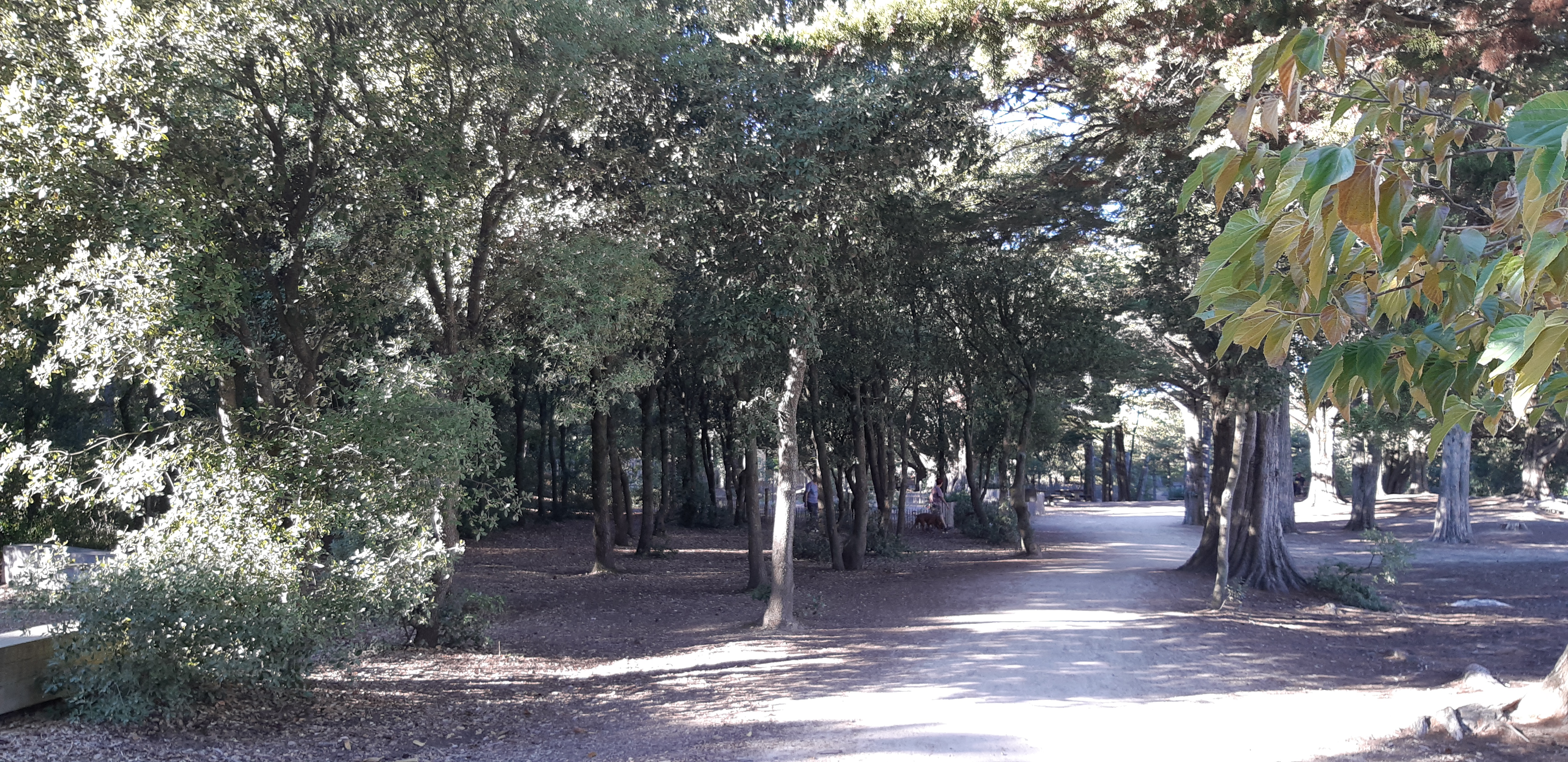 Photo n° 14 de l'avis de Yannick.a fait le 15/10/2018 à 10:38
