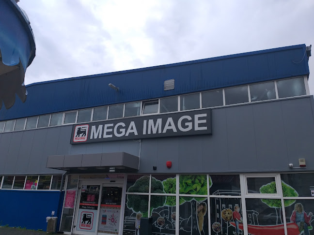 Mega Image - <nil>