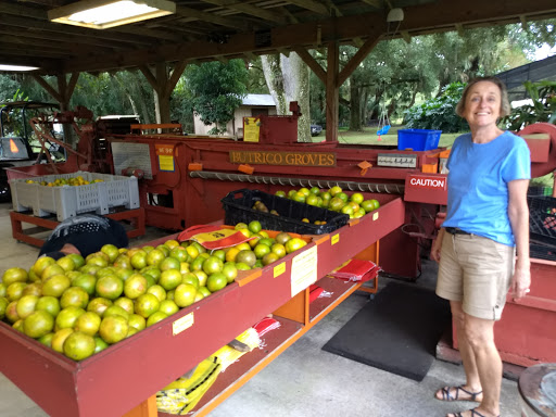 Farm «Butrico Groves Orange Grove», reviews and photos, 6065 Magnolia St, Mims, FL 32754, USA