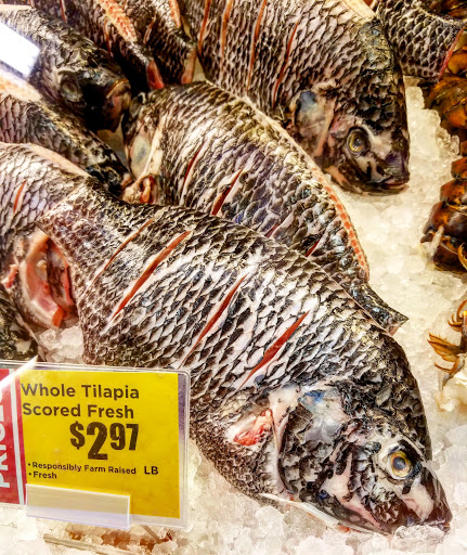 Grocery Store «H-E-B Grocery», reviews and photos, 3500 Leopard St