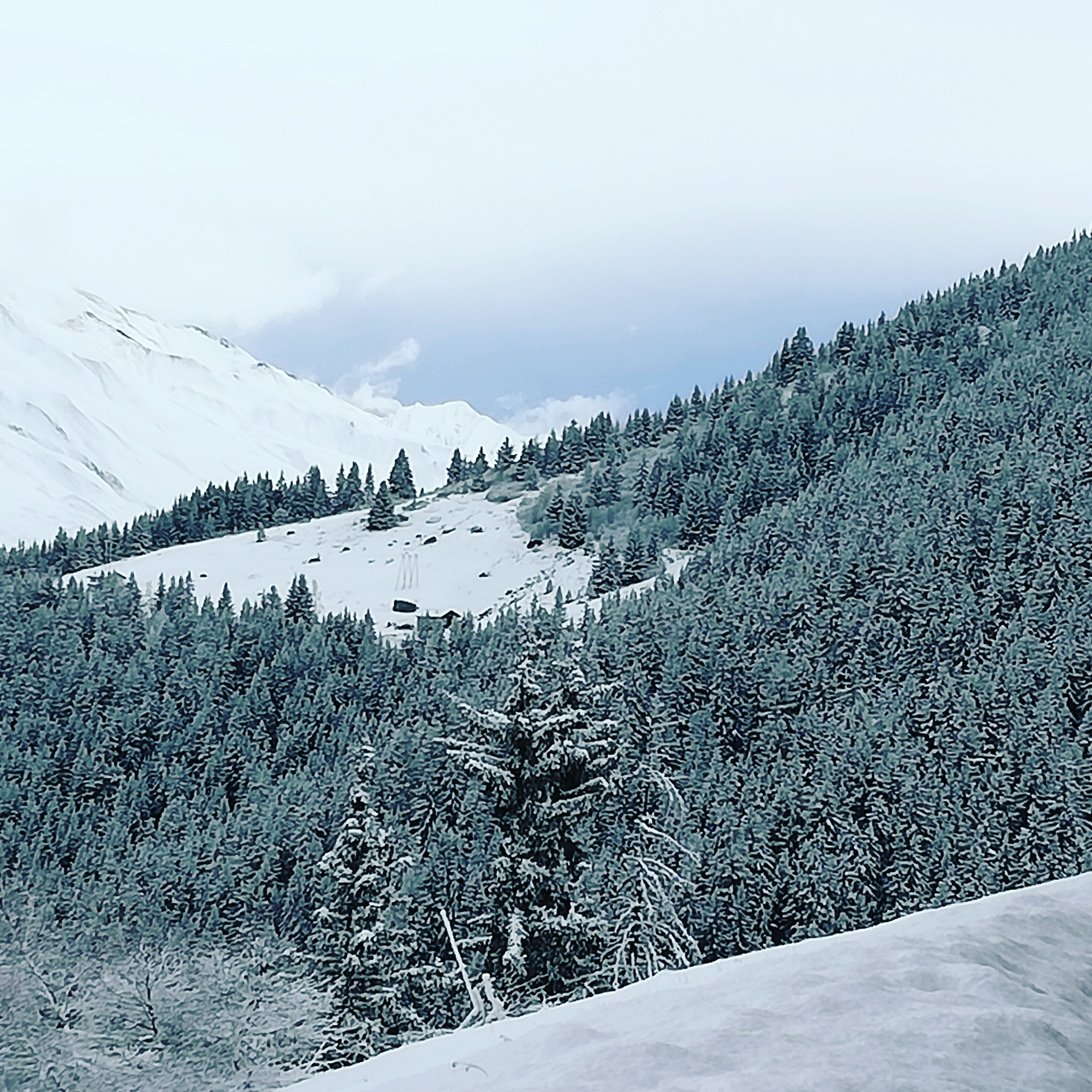 Photo n° 5 de l'avis de agnès.u fait le 22/08/2019 à 07:45