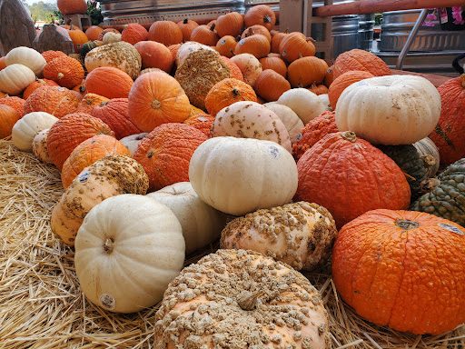 Home Improvement Store «The Home Depot», reviews and photos, 27952 Hillcrest, Mission Viejo, CA 92692, USA