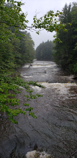 Tourist Attraction «Lacawac Sanctuary», reviews and photos, 94 Sanctuary Rd, Lake Ariel, PA 18436, USA