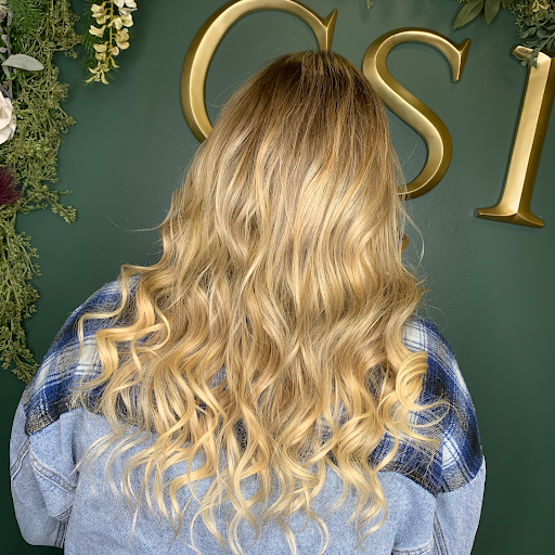 Beauty Salon «CSI Hair Salon», reviews and photos, 767 Horseblock Road, Farmingville, NY 11738, USA