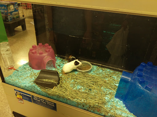 Pet Supply Store «PetSmart», reviews and photos, 400 S State Rd, Springfield, PA 19064, USA