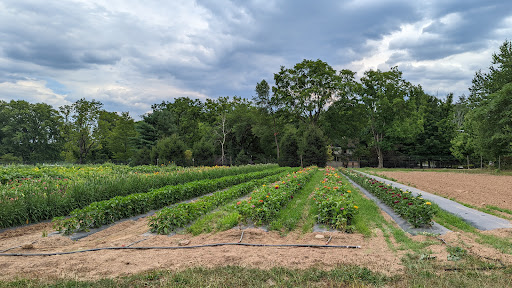 Produce Market «Crane Farm», reviews and photos, 270 S Maple Ave, Basking Ridge, NJ 07920, USA