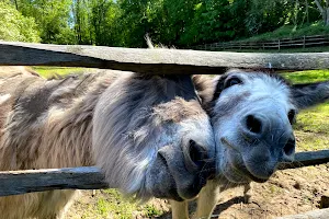 Uccle Farm image