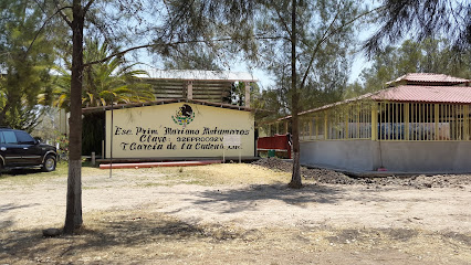Escuela Primaria Mariano Matamoros