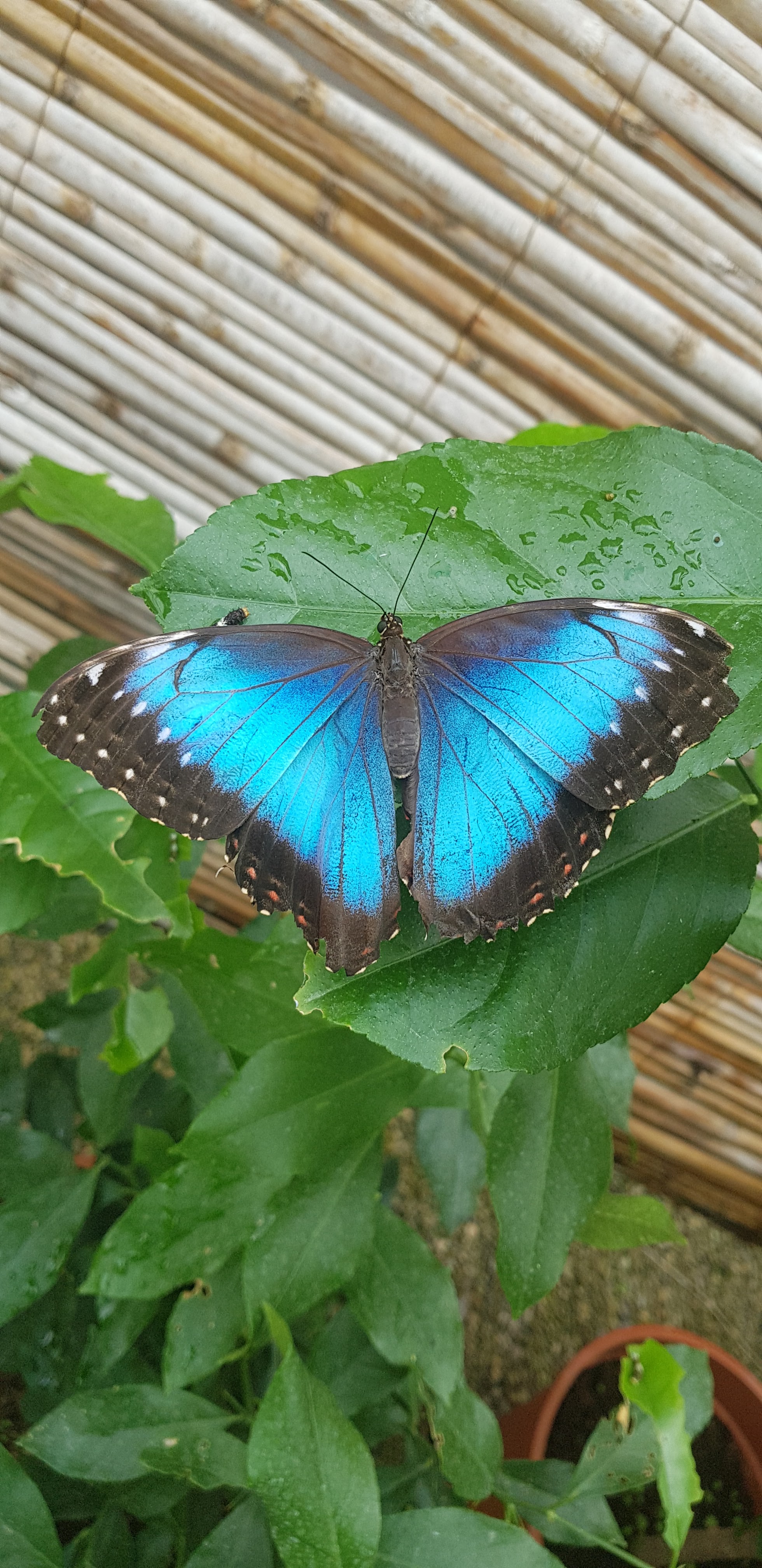 Photo n° 3 de l'avis de Ko.a fait le 14/05/2018 à 16:25