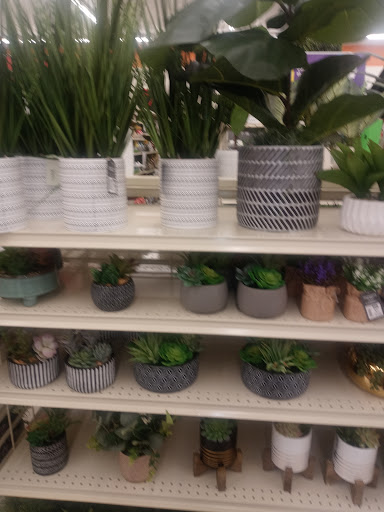 Discount Store «Big Lots», reviews and photos, 111 Racetrack Rd NW a, Fort Walton Beach, FL 32547, USA