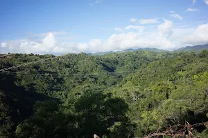 ʻEwa Forest Reserve image