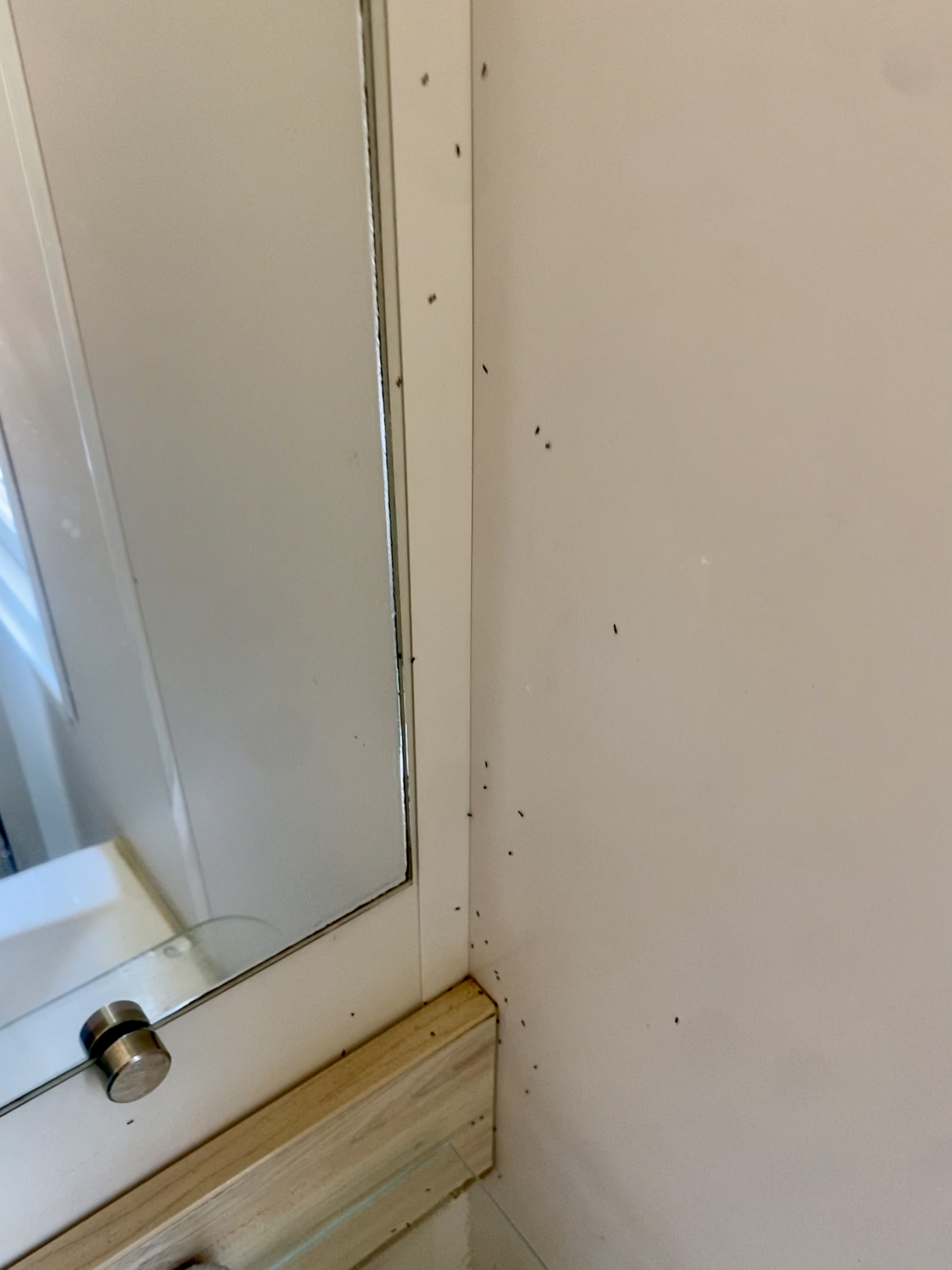 Photo n° 8 de l'avis de Ciissou.i fait le 29/07/2022 à 21:25