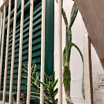 Photo n°2 de l'avis de Angela.a fait le 14/07/2021 à 23:17 sur le  La Mitria rooms and breakfast à Trani