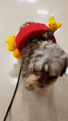 Pet Supply Store «Petco Animal Supplies», reviews and photos, 993 Branson Hills Pkwy, Branson, MO 65616, USA