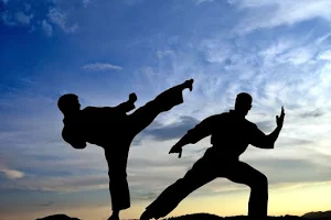 Sora Martial Arts Center image