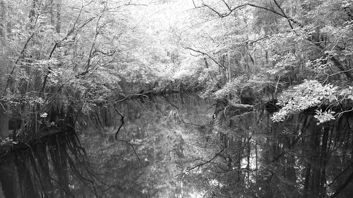 National Park «Moores Creek National Battlefield», reviews and photos, 40 Patriots Hall Dr, Currie, NC 28435, USA