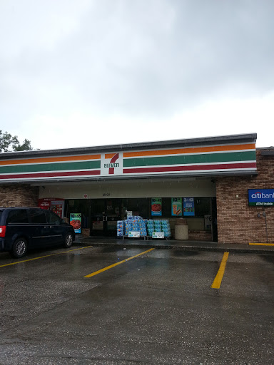 7-Eleven, 18902 N Dale Mabry Hwy, Lutz, FL 33549, USA, 