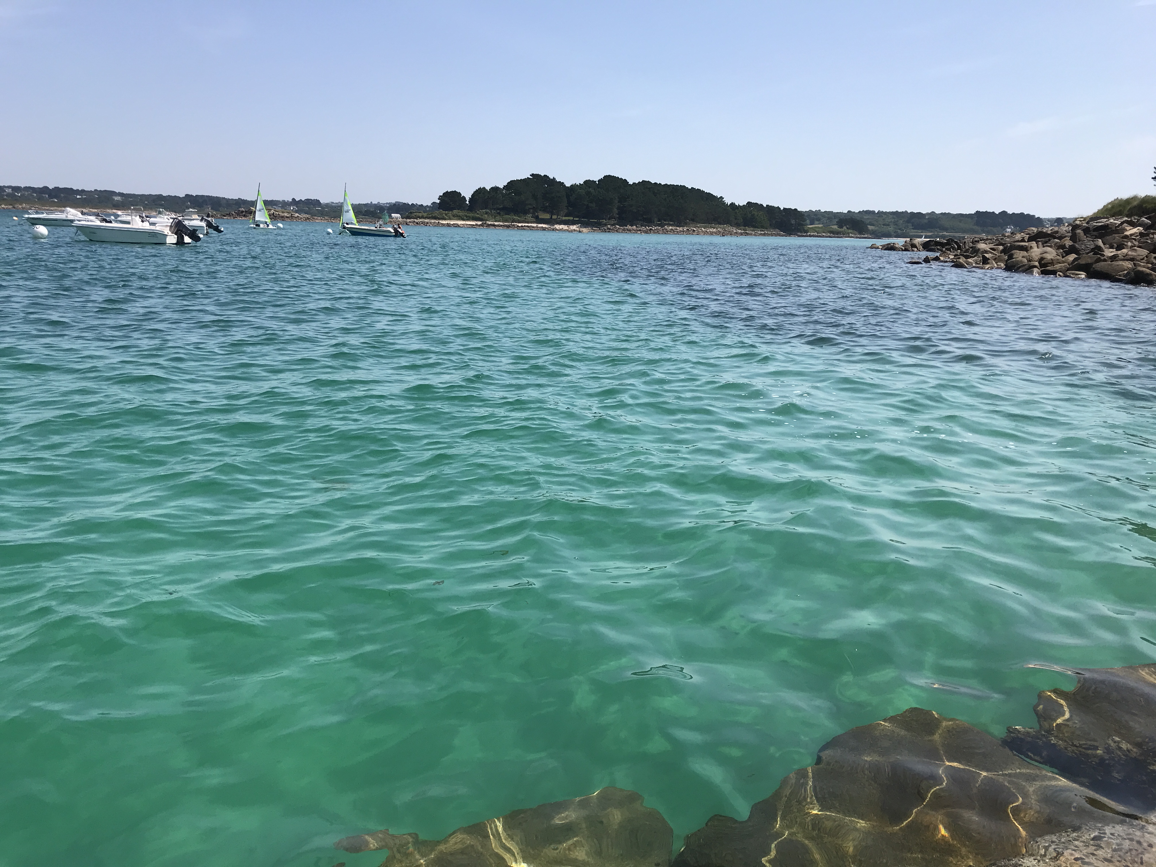 Photo n° 2 de l'avis de Jean-Marie.U fait le 28/07/2021 à 13:17