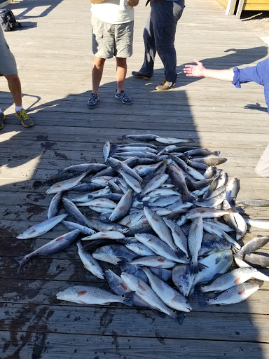One More Cast Charters