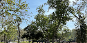 Verdugo Park