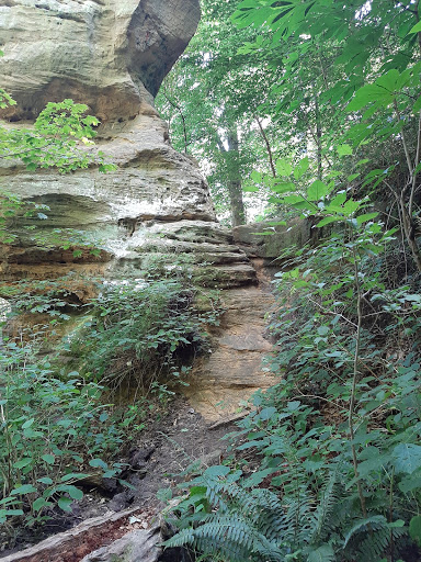Nature Preserve «Jug Rock Nature Preserve», reviews and photos, Albright Ln, Shoals, IN 47581, USA