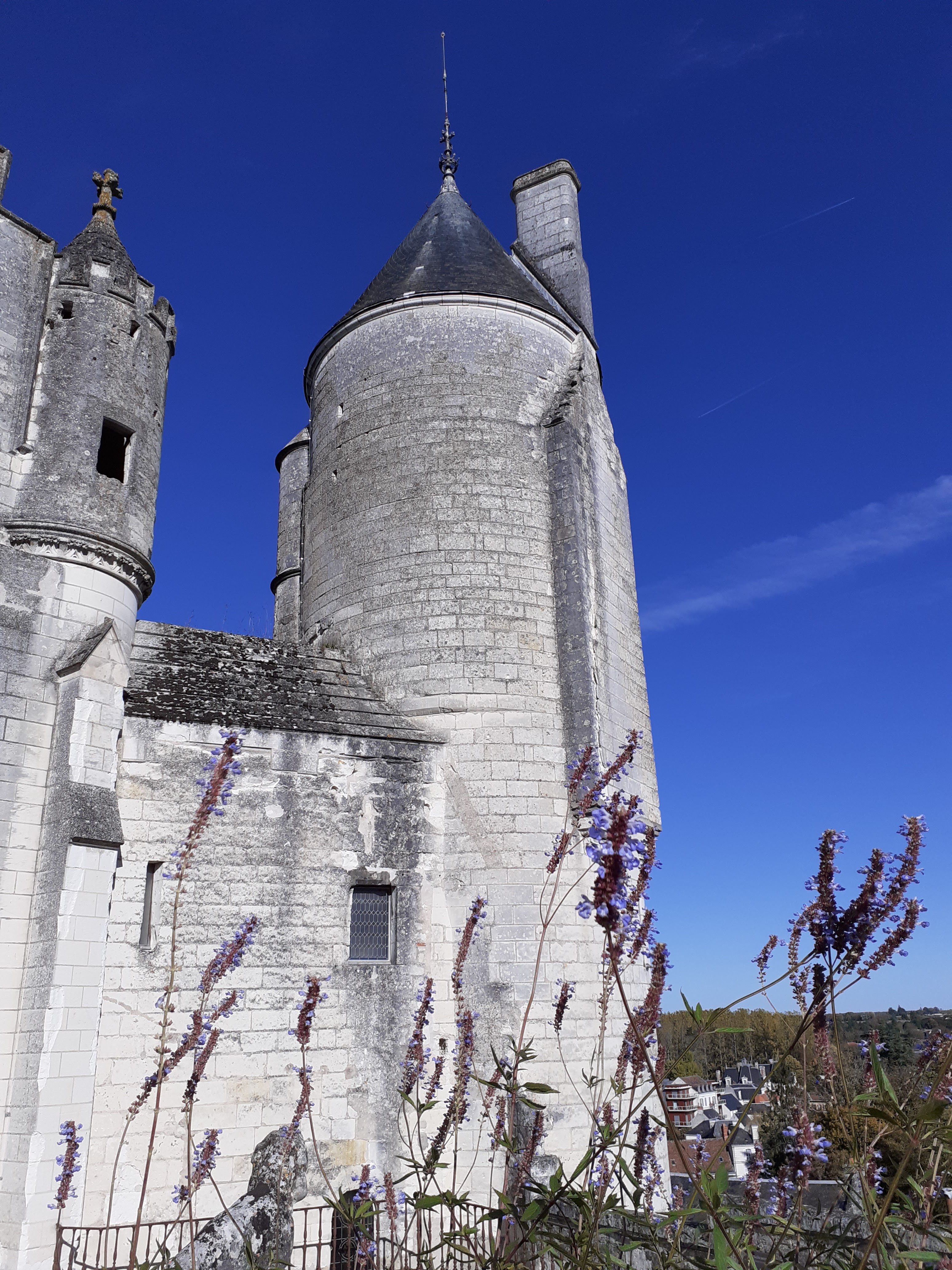 Photo n° 5 de l'avis de Brigitte.r fait le 24/10/2021 à 16:29