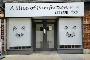 A Slice of Purrfection Ltd image