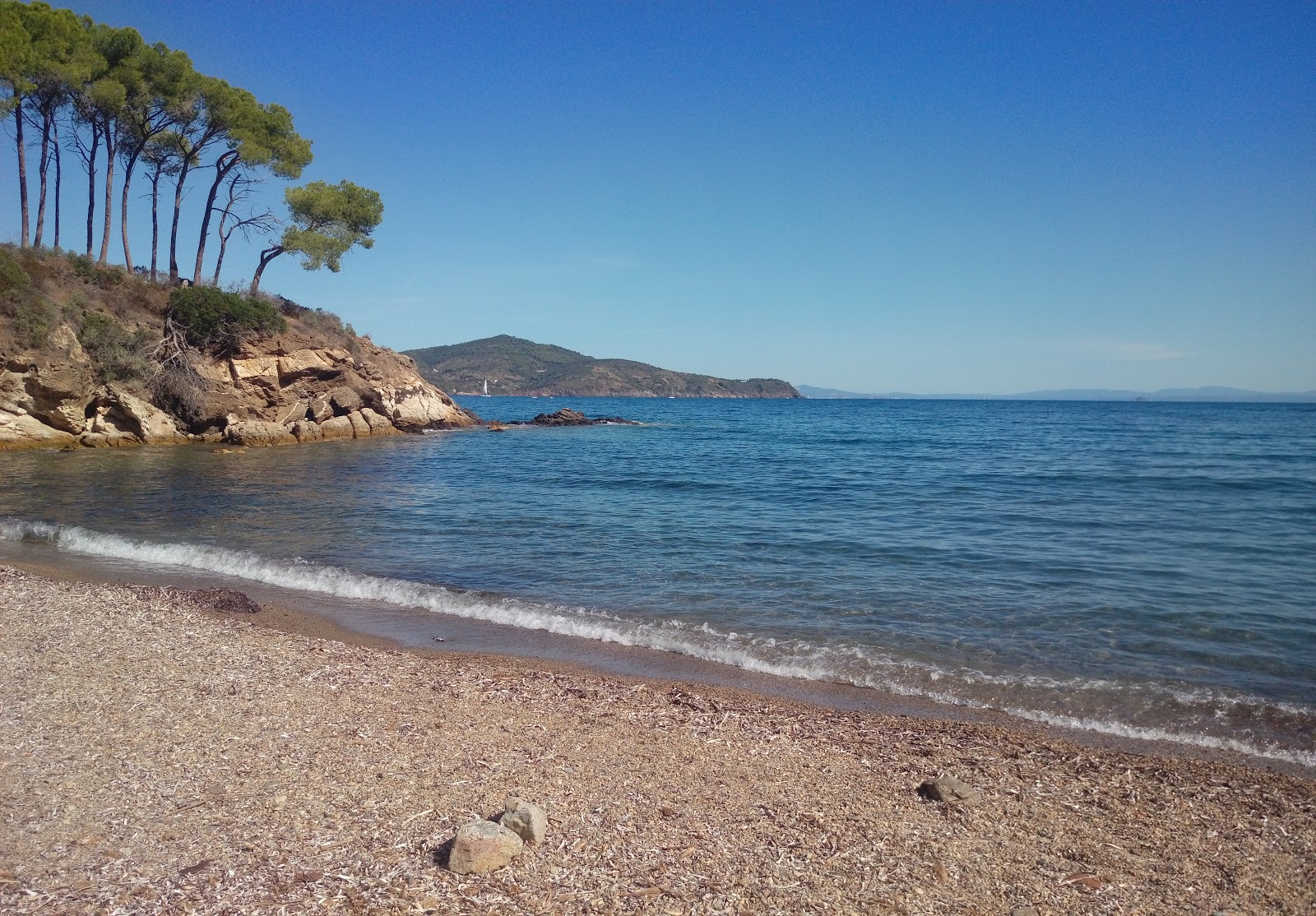 Φωτογραφία του Istia beach άγρια περιοχή