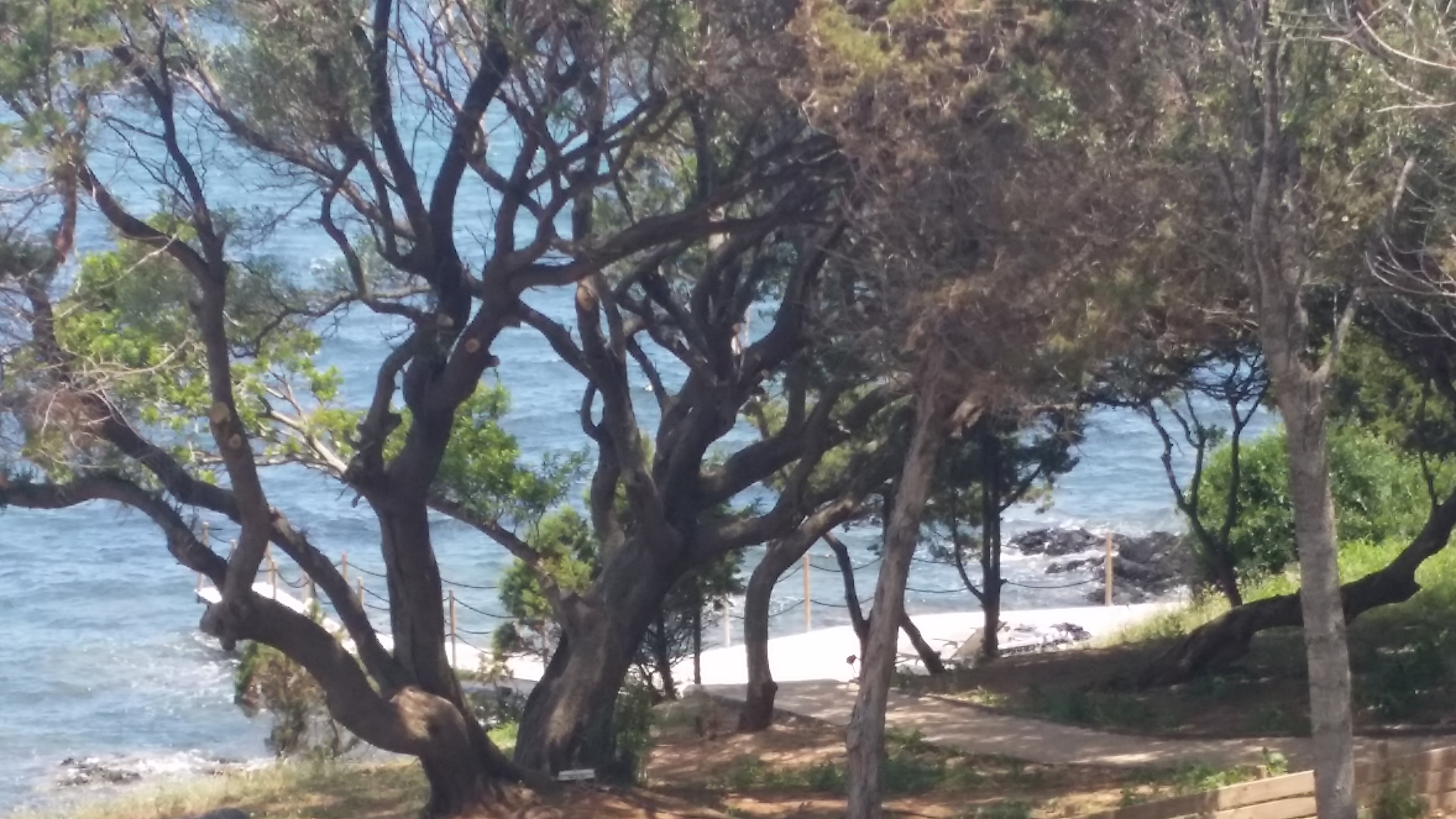 Photo n° 2 de l'avis de Yohann..u fait le 24/06/2018 à 11:17
