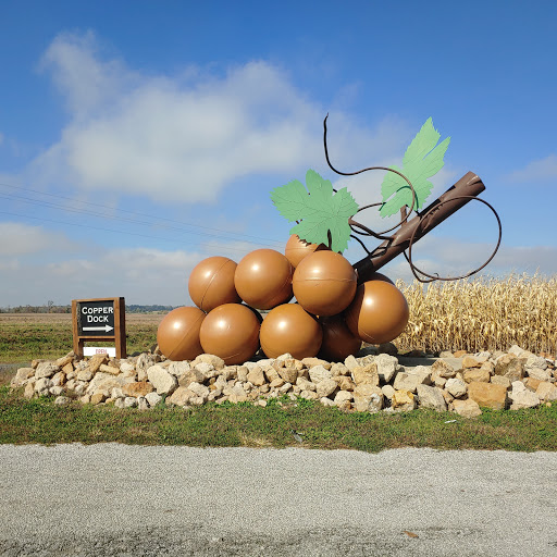 Winery «Copper Dock Winery», reviews and photos, 498 700 N, Pocahontas