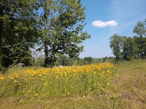 Grand Ravines Dog Park - photo 14